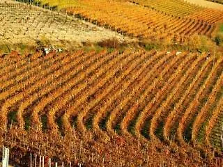Alojamento de Turismo Rural Enolocanda Del Tufo Dogliani