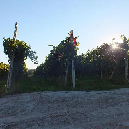 בית חווה Enolocanda Del Tufo דוליאני