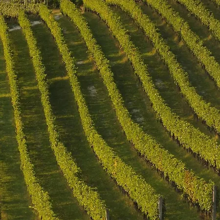 Enolocanda Del Tufo בית חווה