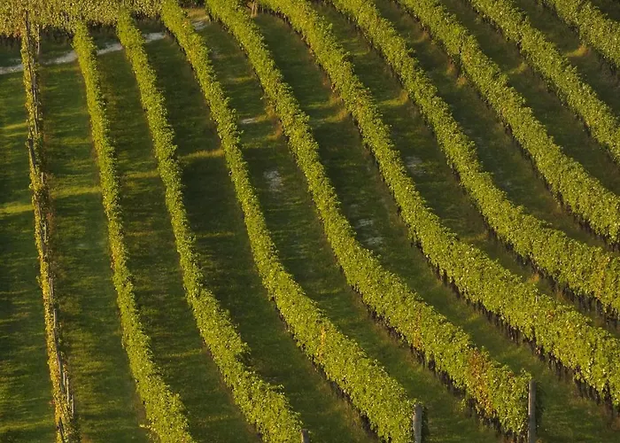 Enolocanda Del Tufo ファームステイ